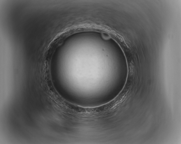 X0000116061494200911271232