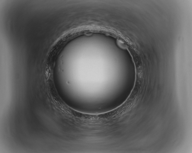 X0000116061495200911271232