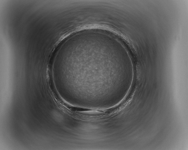 X0000116061497200911271232