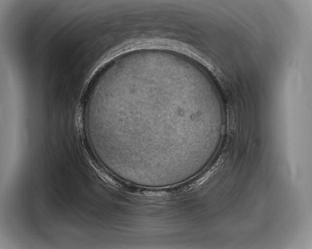 X0000116061498200911271232