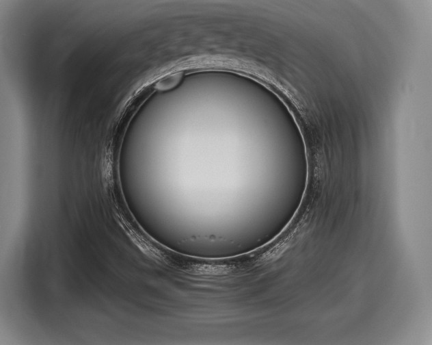 X0000116061499200911271232