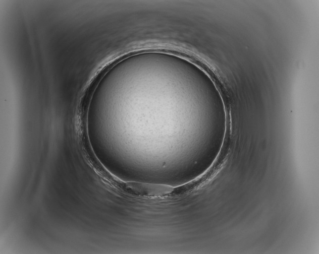X0000116061501200911271232