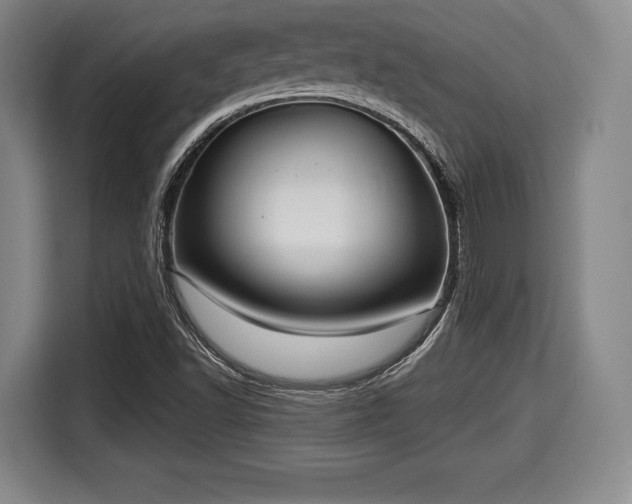 X0000116061502200911271232