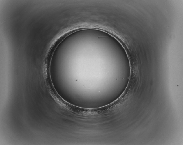 X0000116061503200911271232