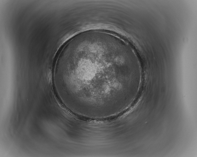 X0000116061505200911271232