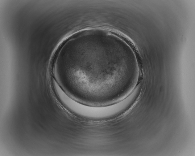 X0000116061506200911271232