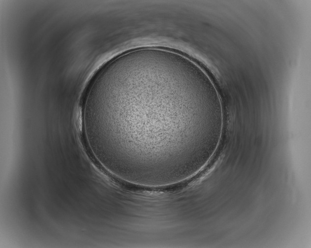 X0000116061509200911271232