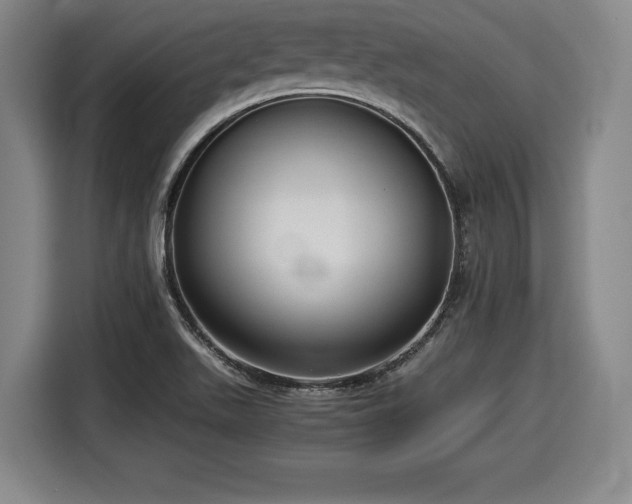 X0000116061511200911271232
