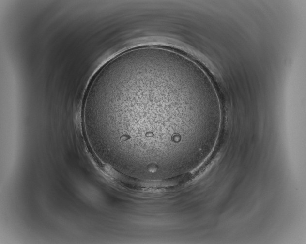 X0000116061513200911271232