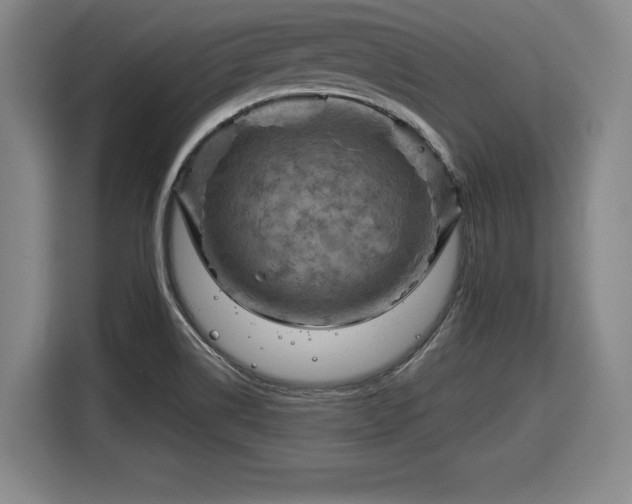 X0000116061514200911271232