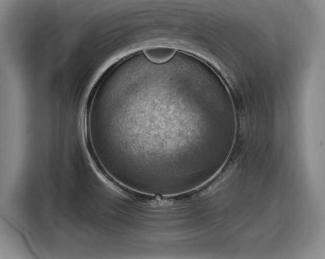 X0000116061515200911271232