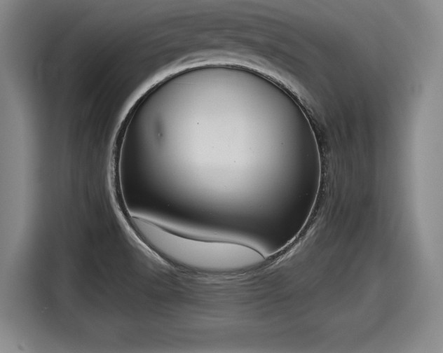 X0000116061518200911271232