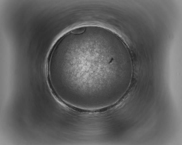 X0000116061519200911271232