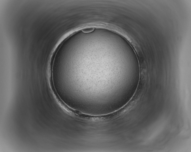 X0000116061523200911271232