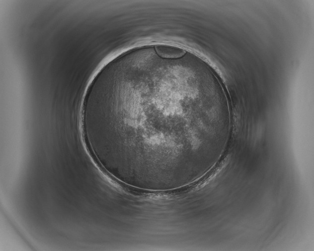 X0000116061525200911271232