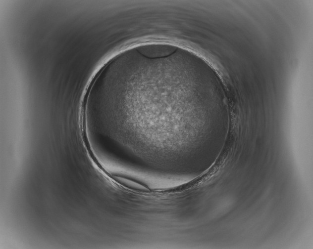 X0000116061527200911271232