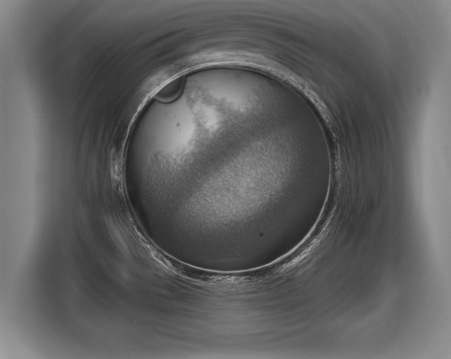 X0000116061529200911271232