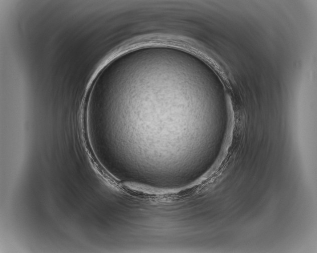 X0000116061530200911271232
