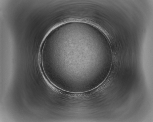 X0000116061531200911271232