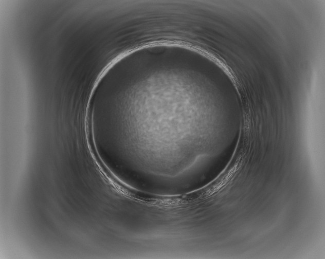 X0000116061533200911271232