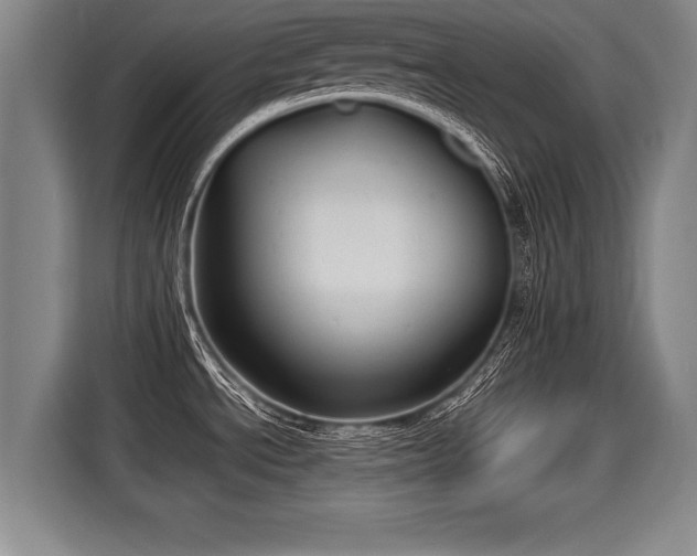 X0000116061534200911271232