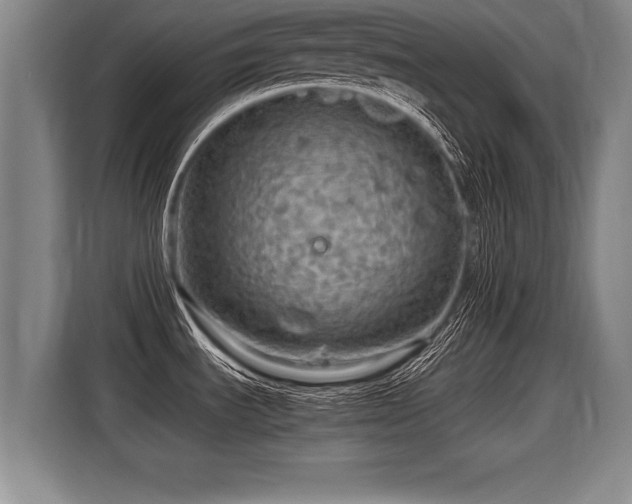 X0000116061535200911271232