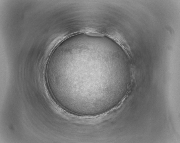 X0000116060001200912041903