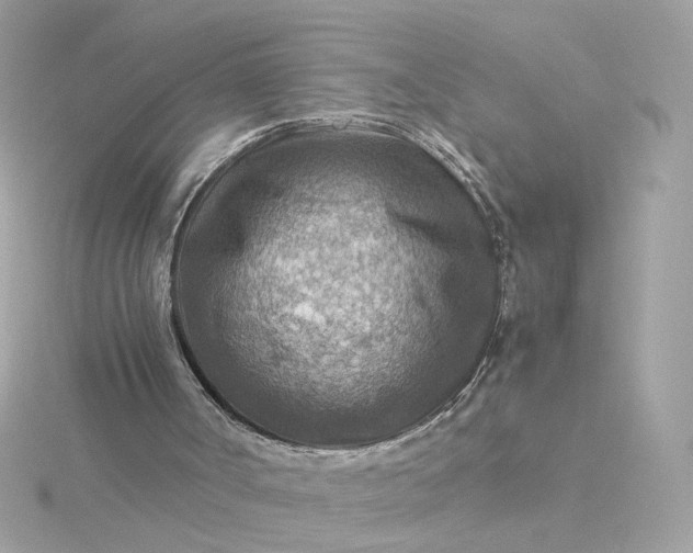 X0000116060002200912041903