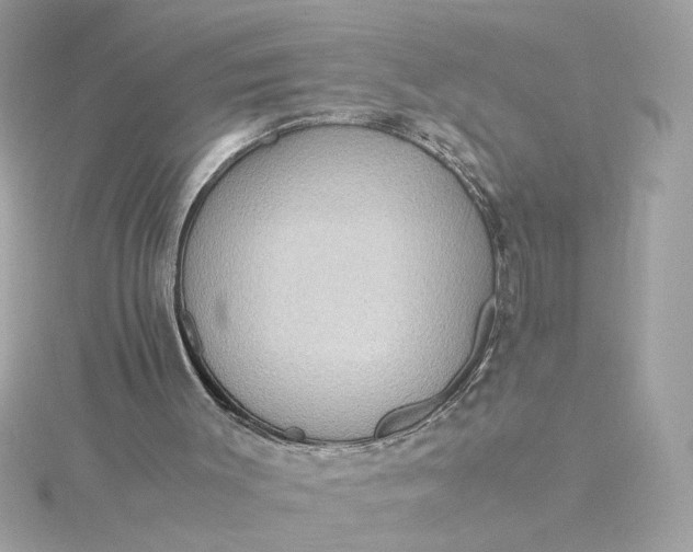 X0000116060003200912041903