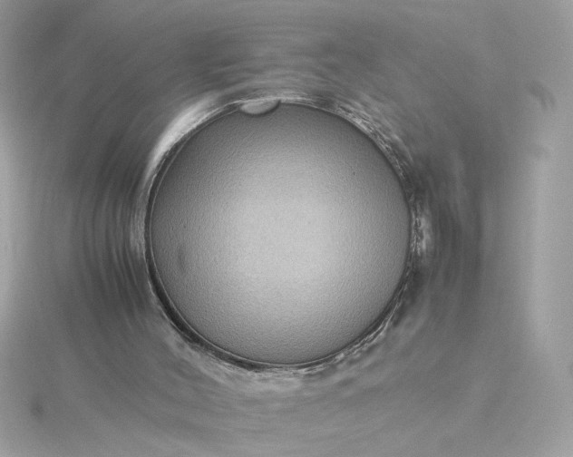 X0000116060004200912041903