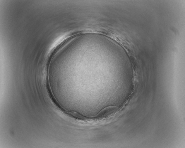 X0000116060005200912041903