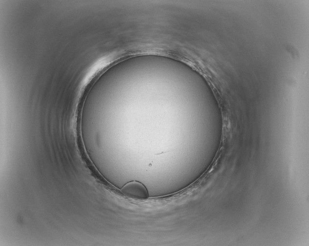 X0000116060006200912041903