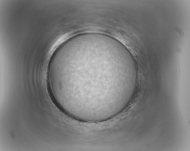 X0000116060007200912041903