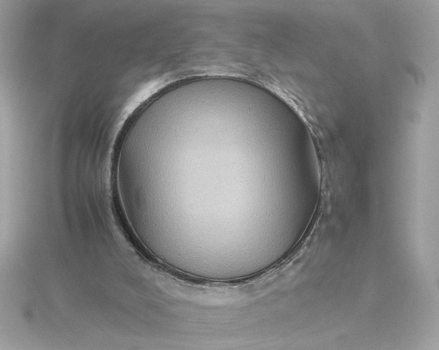 X0000116060008200912041903