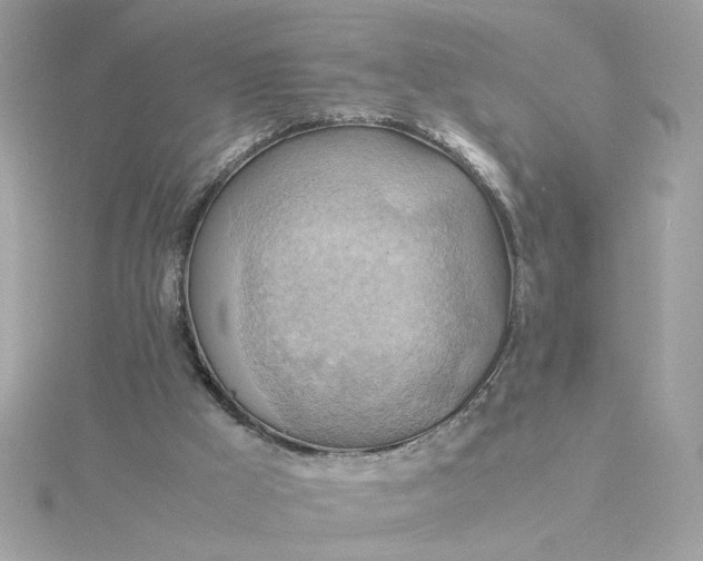 X0000116060009200912041903