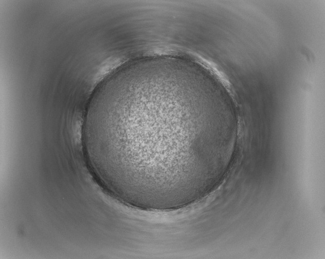 X0000116060010200912041903