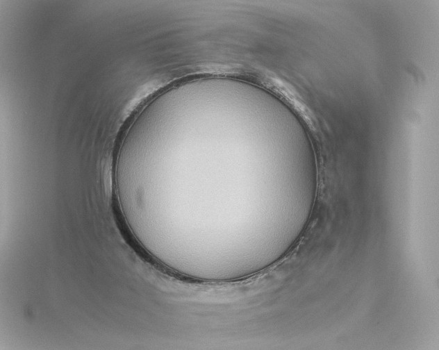 X0000116060011200912041903