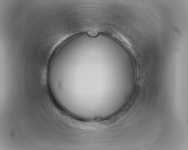 X0000116060012200912041903