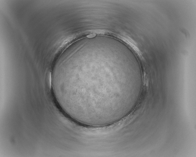 X0000116060013200912041903