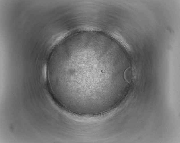 X0000116060014200912041903