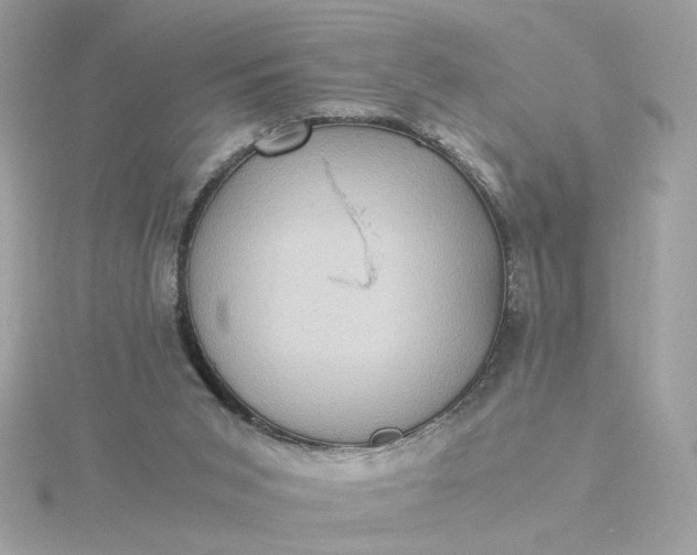 X0000116060015200912041903