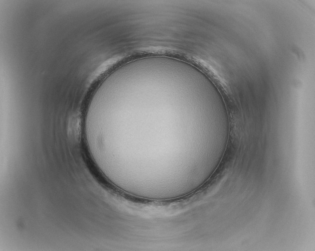 X0000116060016200912041903