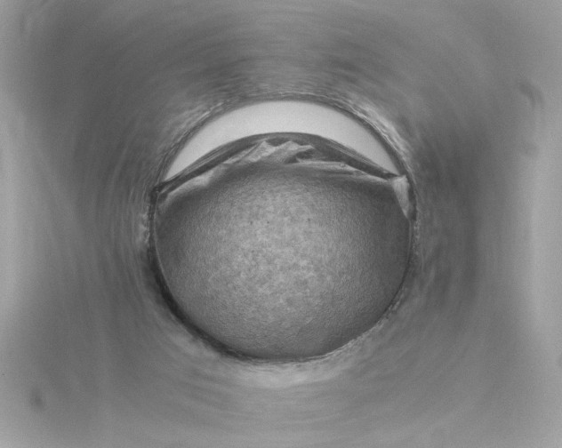 X0000116060017200912041903