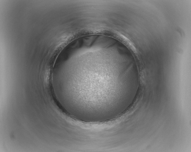 X0000116060018200912041903