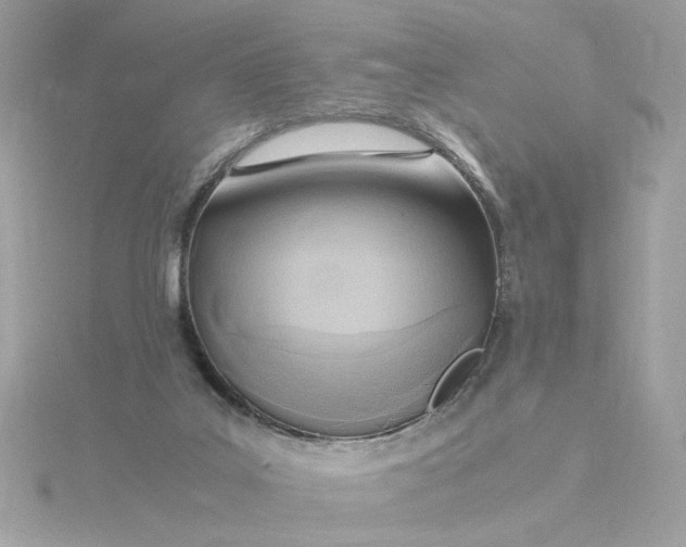 X0000116060019200912041903