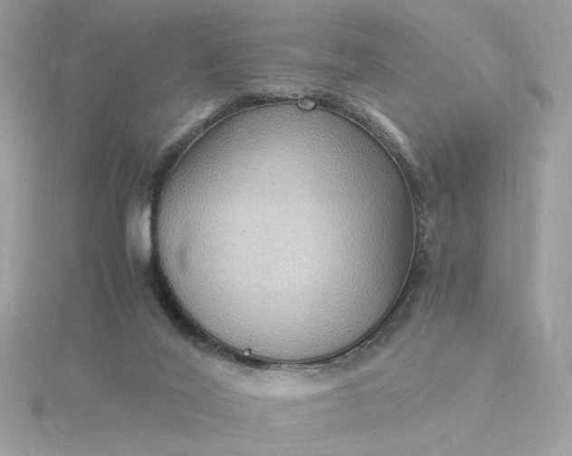 X0000116060020200912041903