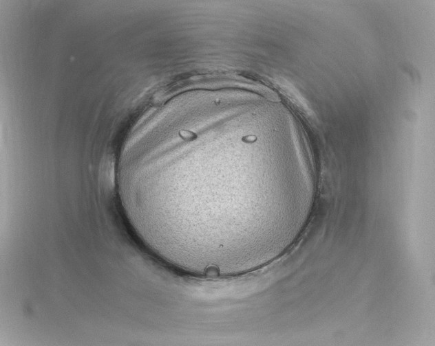 X0000116060021200912041903