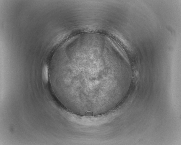 X0000116060022200912041903