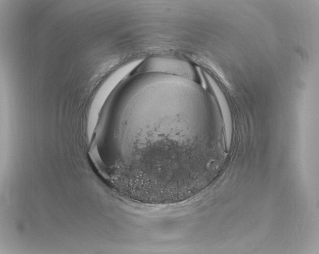 X0000116060023200912041903