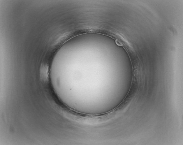 X0000116060024200912041903